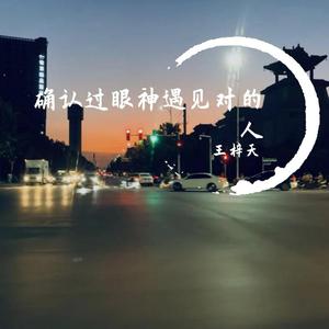 确认过眼神遇见对的人