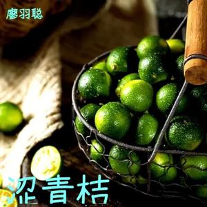 涩青桔
