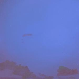 I Was a Scarecrow in the Garden of Eden