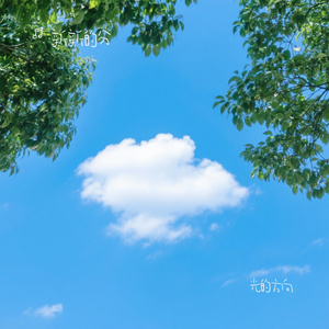 光的方向