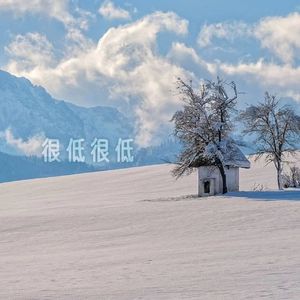 很低很低