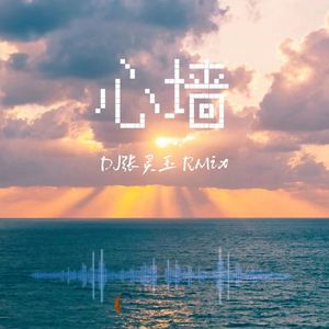 郭静-心墙 DJ张灵玉RMix