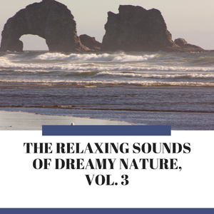 Delightful Fire in Woodland