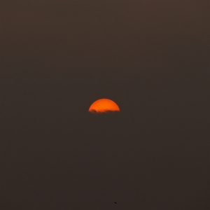 Waiting for Sunshine