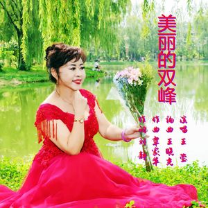 美丽的双峰 伴奏