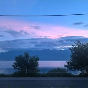 季风尽头的候鸟之约.wav