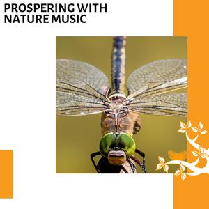 Peaceful Woodland View