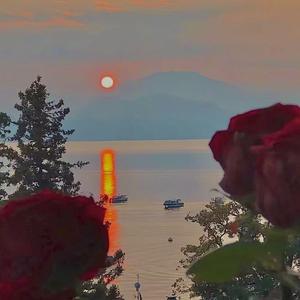 失望我该怎么表达Prod.by Stephenday