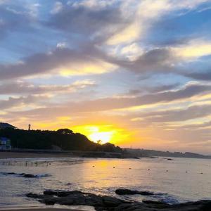 【FREE】洞悉自然