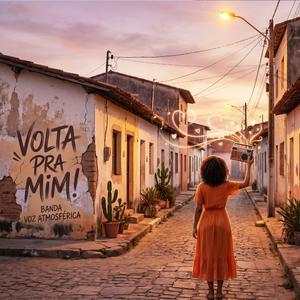Você Não Vem, Eu Vou Com Você