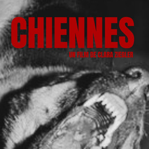 Bark (Musique originale de "Chiennes")