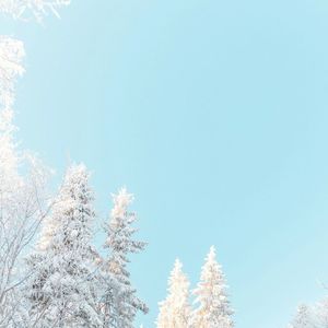 舟楫承载的远渡