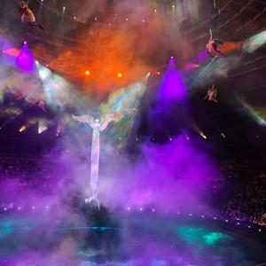 达尔文（翻自 Darren达布希勒图）