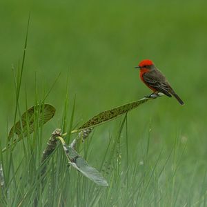 “中国风”hip-hop beat