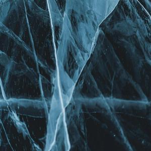 the leaves are black