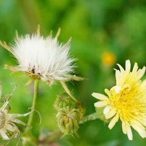 狂想曲（节奏律动版）