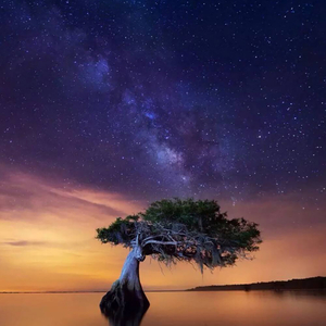 催眠曲5分钟入睡 婴儿沉睡