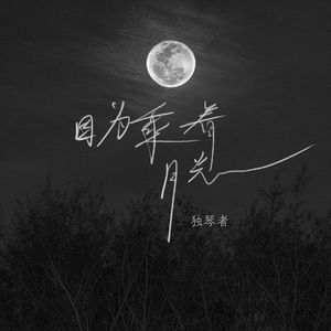因为乘着月光 (吉他版)