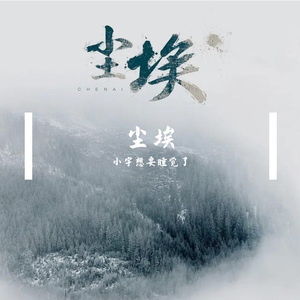 尘埃 伴奏