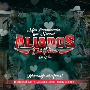 Homenaje al Amor - El Amor Soñado / Secuestro de Amor / Mundo de Amor (En Vivo)