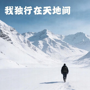我独行在天地间