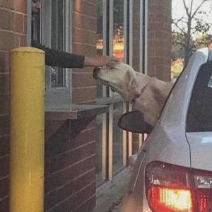 Nujabes-Luv(sic)（Kukey remix）