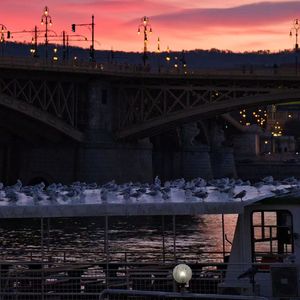 回忆里未曾到站的列车