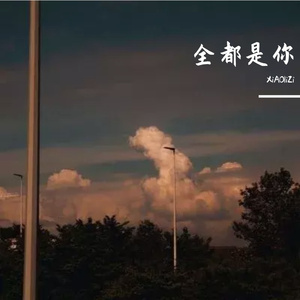 全都是你