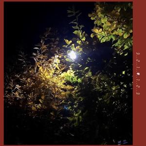 白羊（cover 徐秉龙）