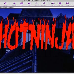 Hot Ninja