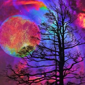 Before I Die (feat. 0pp0site)