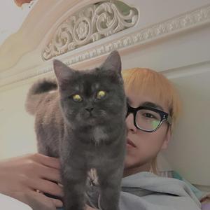 没有理想的人不伤心