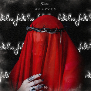 Fidelio (Hoodtrap & Slowed)