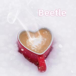 Beetle