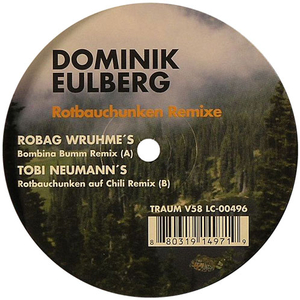 Die Rotbauchunken Vom Tegernsee (Robag Wruhmes Mix)