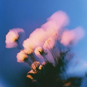 散花