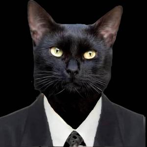 Soñe, mentira no soñe