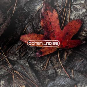 HINDSIGHT (reimagined)