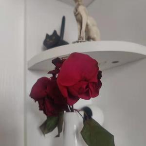 “被父母打断的__”