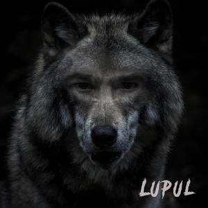 Lupul