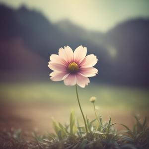 එ මල් පුදුමෙක  by @fortissimozither958