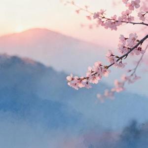 春庭晓