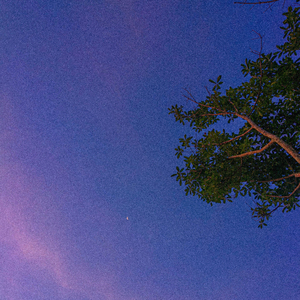 두 손을 잡고, 걸음을 맞추고