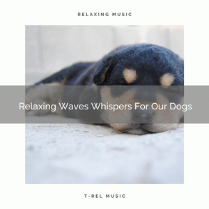 Nature Sounds For Dearest Dogs