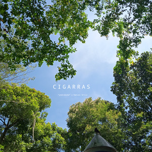 Cigarras