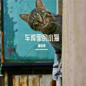 车库里的小猫