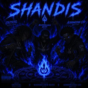 Shandis