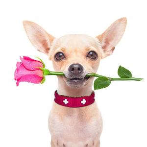 PRACTICE.FREESTYLE（DEMO)(PROD.BY杨鑫磊继续饶)