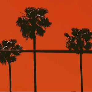 For him.（翻自 Troye Sivan）