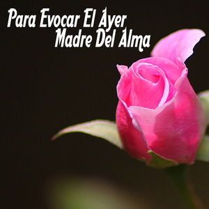 Zambra de la Madrugada